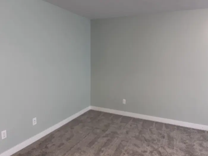 Freshly painted gray bedroom